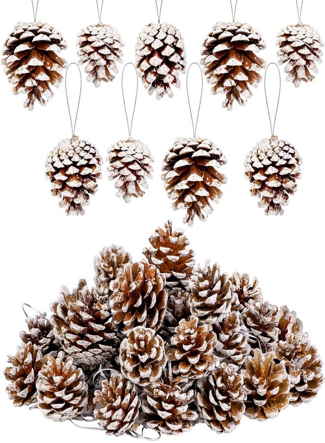 Fovths 30 Pieces 2 Size Christmas Pine Cones with String Mini Rustic Pinecones Bulk Ornaments for Xmas Tree Crafts Holiday Home Hanging Ornament Party Favor Fireplace Table Centerpiece, White - Image 1